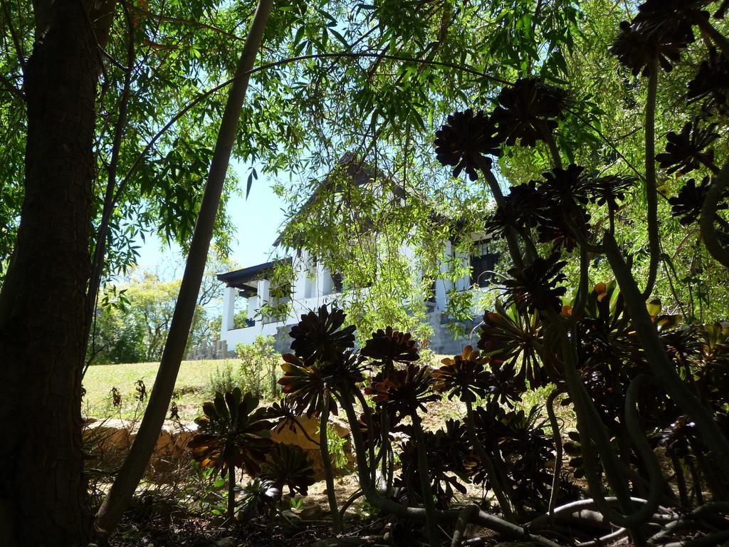 Albergue Karoo Soul Oudtshoorn Exterior foto